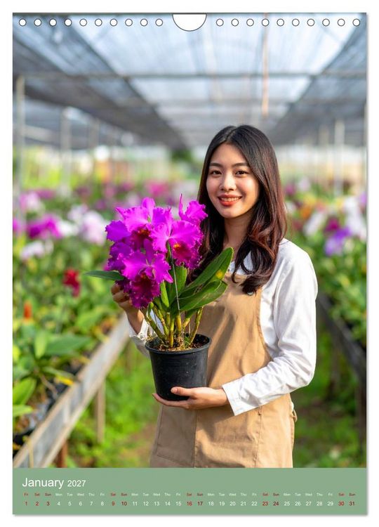 Produktbild: Cattleya - Breeder's Pride (Wall Calendar 2027 DIN A4 portrait), CALVENDO 12 Month Wall Calendar
