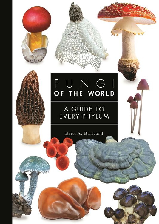 Produktbild: Fungi of the World