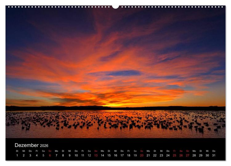 Produktbild: V&ouml;gel & Landschaften (Wandkalender 2026 DIN A2 quer), CALVENDO Monatskalender