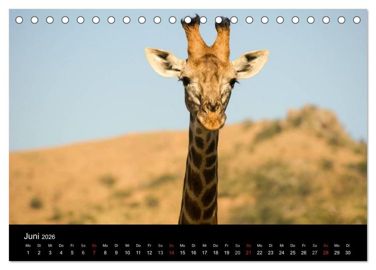 Produktbild: Faszinierendes S&uuml;dafrika (Tischkalender 2026 DIN A5 quer), CALVENDO Monatskalender