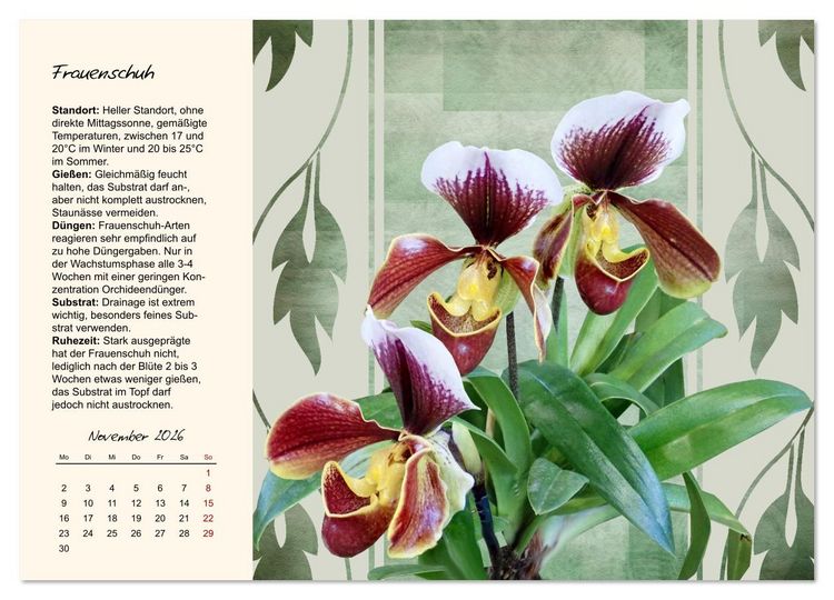 Produktbild: Bl&uuml;tenpracht am Fenster (Wandkalender 2026 DIN A3 quer), CALVENDO Monatskalender