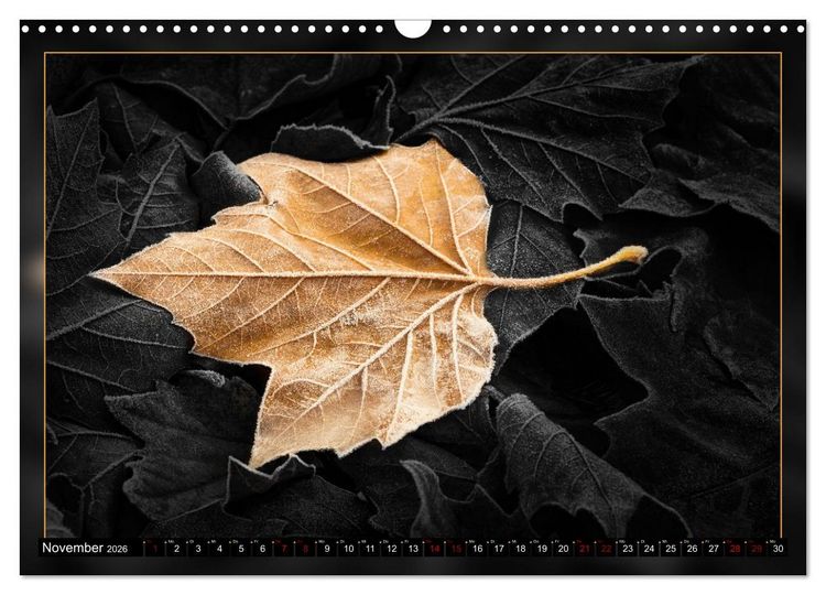 Produktbild: Blattkunstwerke (Wandkalender 2026 DIN A3 quer), CALVENDO Monatskalender