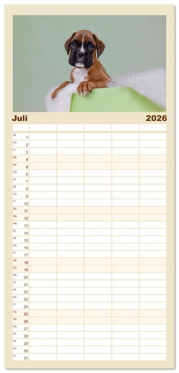 Produktbild: Familienplaner 2026 - Boxer Welpen einfach zuckers&uuml;&szlig; mit 5 Spalten (Wandkalender, 21 x 45 cm) CALVENDO