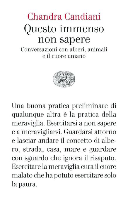 Produktbild: Questo immenso non sapere. Conversazioni con alberi, animali e il cuore umano