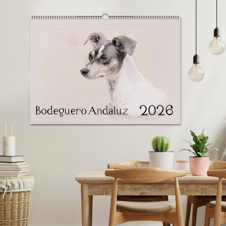 Produktbild: Bodeguero Andaluz 2026 (Wandkalender 2026 DIN A2 quer), CALVENDO Monatskalender