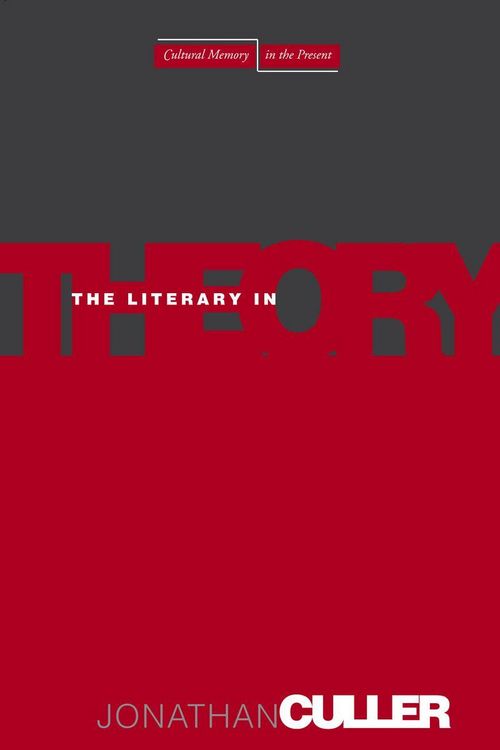 Produktbild: The Literary in Theory