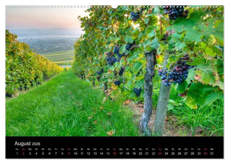 Produktbild: Weinberge im Remstal (Wandkalender 2026 DIN A2 quer), CALVENDO Monatskalender