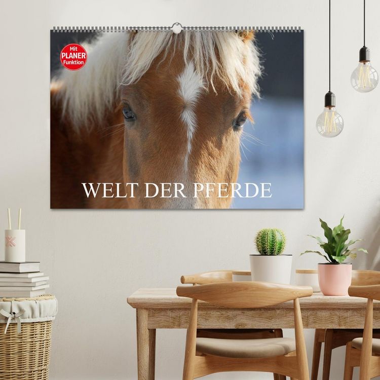 Produktbild: Welt der Pferde (Wandkalender 2026 DIN A2 quer), CALVENDO Monatskalender