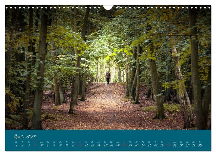 Produktbild: Blick auf die Halbinsel Fischland, Dar&szlig; und Zingst (Wandkalender 2027 DIN A3 quer), CALVENDO Monatskalender