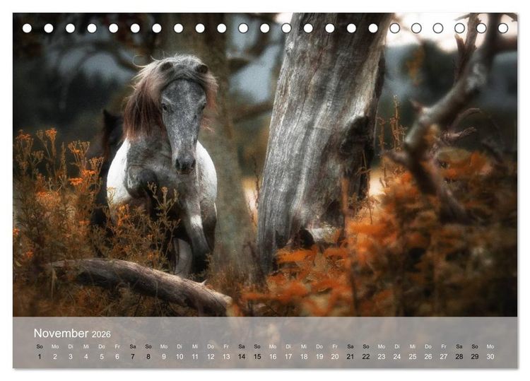 Produktbild: Pferde - Anmut und St&auml;rke gepaart mit Magie (Tischkalender 2026 DIN A5 quer), CALVENDO Monatskalender