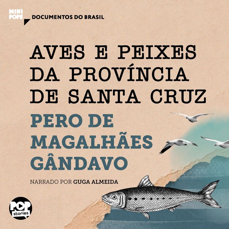 Produktbild: Aves e peixes da prov&iacute;ncia de Santa Cruz: Trechos selecionados de "Hist&oacute;ria da prov&iacute;ncia de Santa Cruz"
