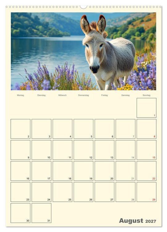 Produktbild: Eselmomente. Natur, Freiheit und Charakter (hochwertiger Premium Wandkalender 2027 DIN A2 hoch), Kunstdruck in Hochglanz
