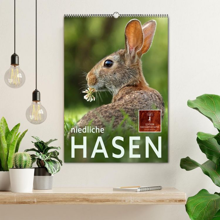 Produktbild: Niedliche Hasen (Wandkalender 2026 DIN A2 hoch), CALVENDO Monatskalender