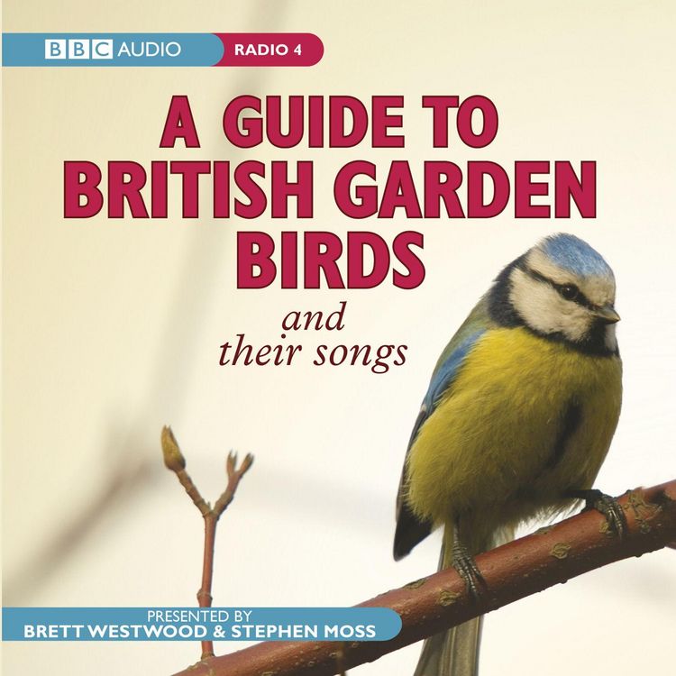 Produktbild: A Guide to British Garden Birds: And Their Songs