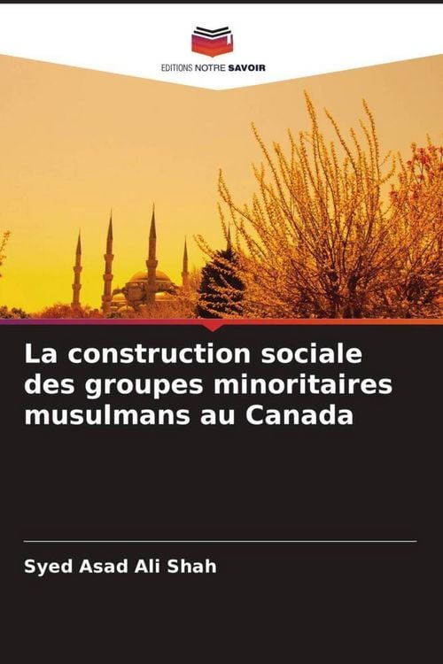 Produktbild: La construction sociale des groupes minoritaires musulmans au Canada