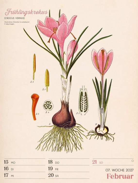 Produktbild: Ars Floralis Wochenplaner Kalender 2027