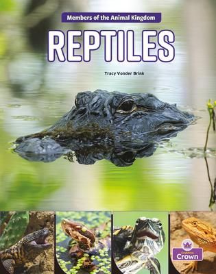Produktbild: Reptiles
