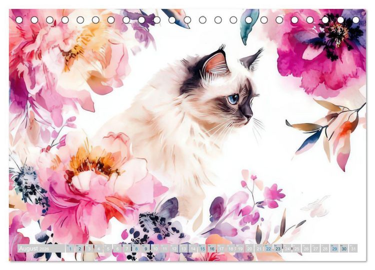 Produktbild: Katzensymphonie in Aquarell (Tischkalender 2026 DIN A5 quer), CALVENDO Monatskalender