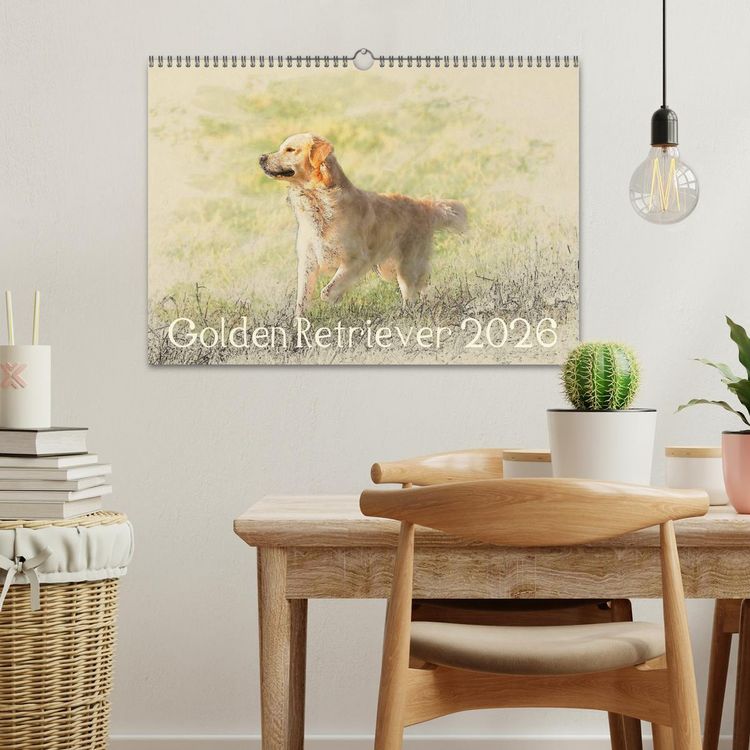 Produktbild: Golden Retriever 2026 (Wandkalender 2026 DIN A3 quer), CALVENDO Monatskalender