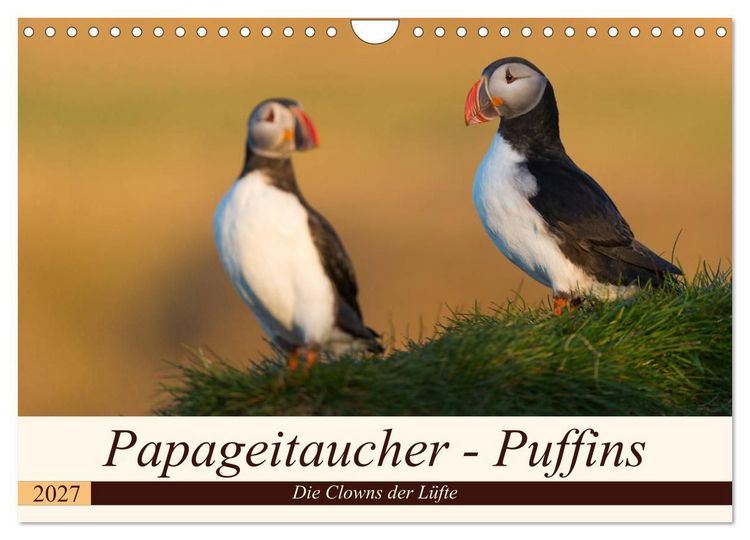Produktbild: Papageitaucher - Puffins (Wandkalender 2027 DIN A4 quer), CALVENDO Monatskalender