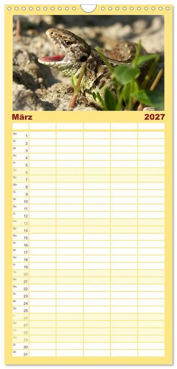 Produktbild: Familienplaner 2027 - Minisaurier im Garten mit 5 Spalten (Wandkalender, 21 x 45 cm) CALVENDO
