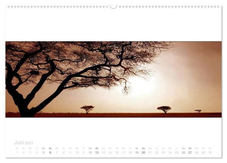 Produktbild: Serengeti Panorama (Wandkalender 2027 DIN A2 quer), CALVENDO Monatskalender