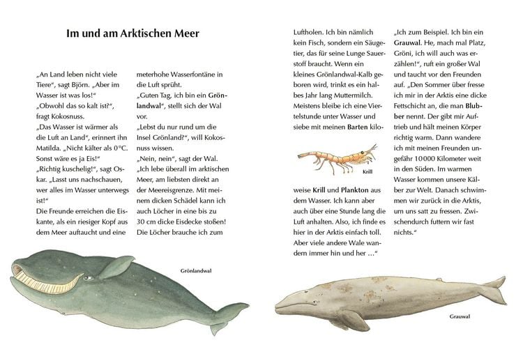 Produktbild: Alles klar! Der kleine Drache Kokosnuss erforscht das ewige Eis