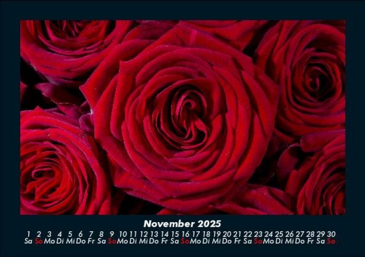Produktbild: Blumenkalender 2025 Fotokalender DIN A5
