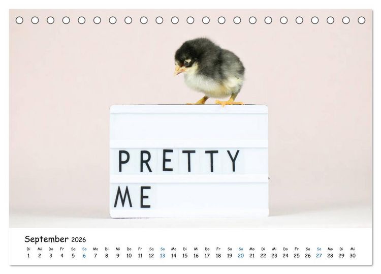 Produktbild: Tierkinder ganz frech (Tischkalender 2026 DIN A5 quer), CALVENDO Monatskalender