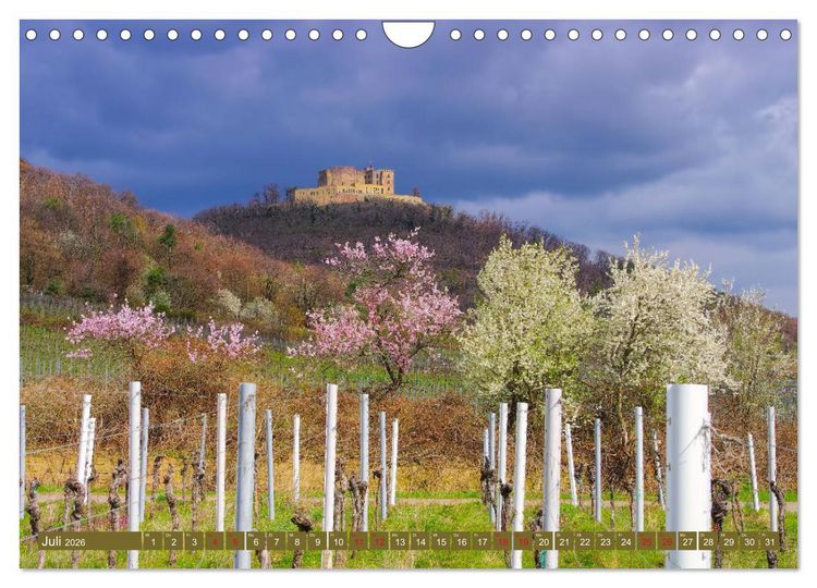 Produktbild: Mandelbl&uuml;tenzauber an der Deutschen Weinstra&szlig;e (Wandkalender 2026 DIN A4 quer), CALVENDO Monatskalender