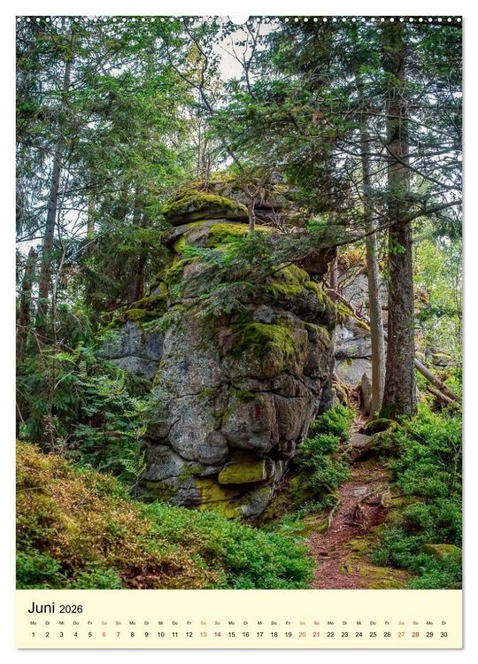 Produktbild: Abenteuer Nationalpark in Deutschland (Wandkalender 2026 DIN A2 hoch), CALVENDO Monatskalender
