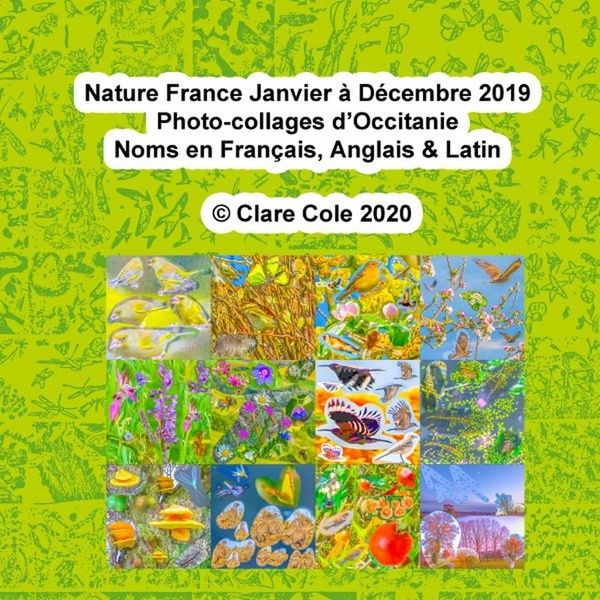 Produktbild: Nature france janvier a decembre