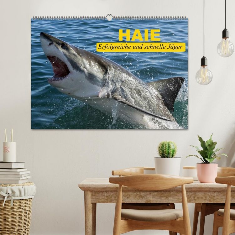 Produktbild: Haie. Erfolgreiche und schnelle J&auml;ger (Wandkalender 2026 DIN A2 quer), CALVENDO Monatskalender