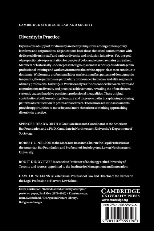 Produktbild: Diversity in Practice