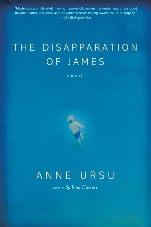 Produktbild: The Disapparation of James