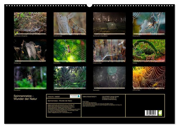 Produktbild: Spinnennetze - Wunder der Natur (Wandkalender 2026 DIN A2 quer), CALVENDO Monatskalender