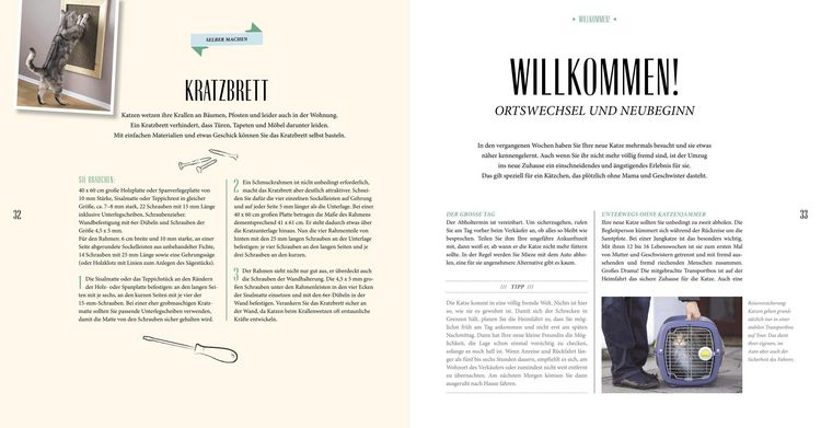 Produktbild: Katzen-Basics