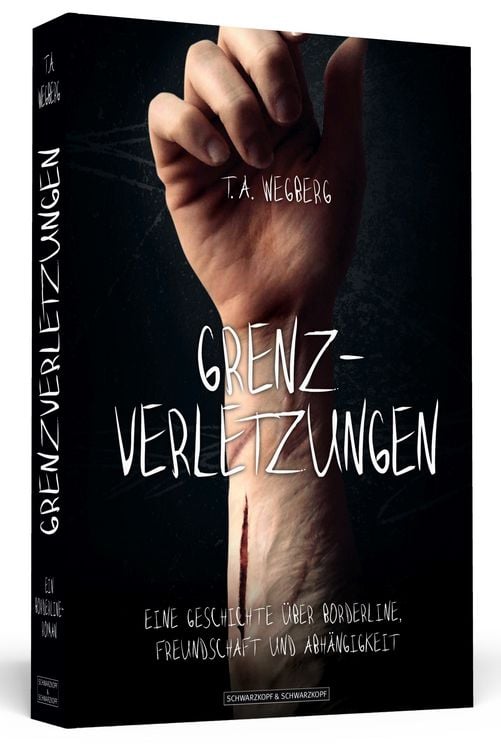 Produktbild: Grenzverletzungen