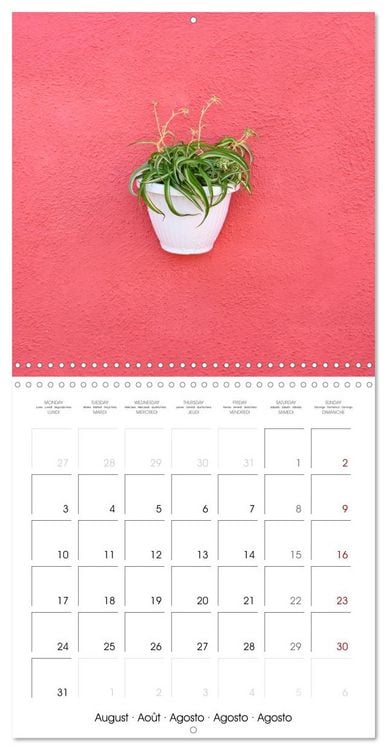 Produktbild: Leaves and flowers of Burano (Wall Calendar 2026 12 &times; 12 Inch) CALVENDO 12 Month Wall Calendar