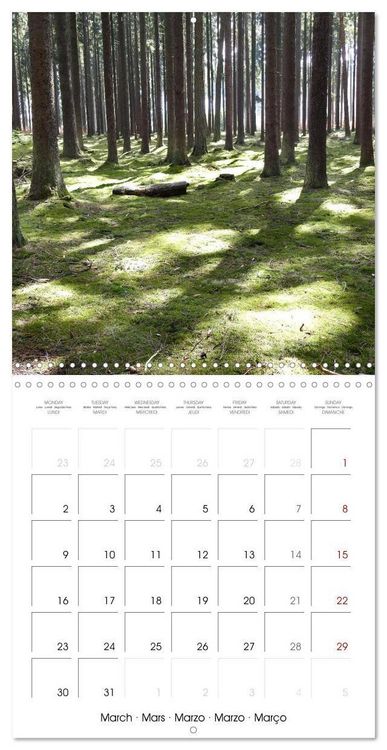 Produktbild: Habitat Forest (Wall Calendar 2026 12 &times; 12 Inch) CALVENDO 12 Month Wall Calendar