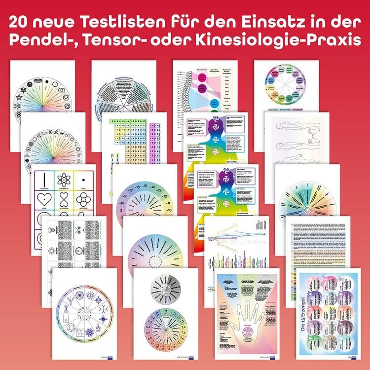 Produktbild: Praxisbuch Neue Hom&ouml;opathie. Band 2