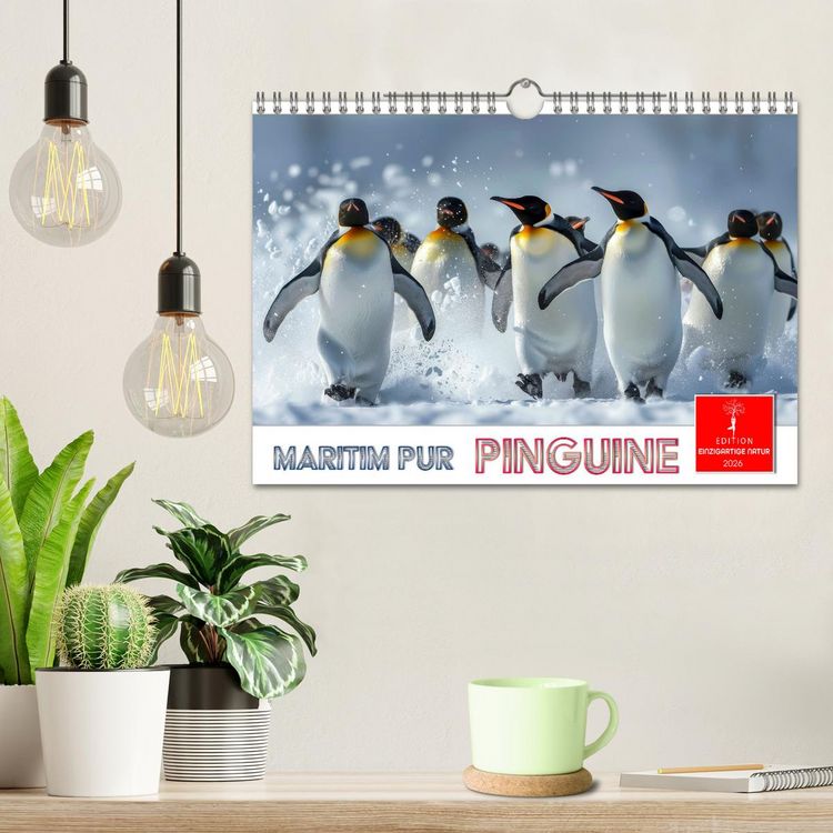 Produktbild: Maritim pur - Pinguine (Wandkalender 2026 DIN A4 quer), CALVENDO Monatskalender