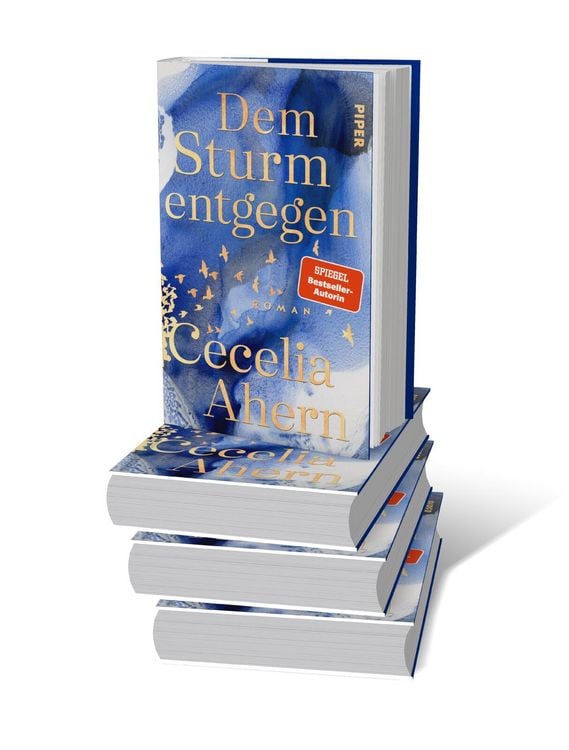 Produktbild: Dem Sturm entgegen