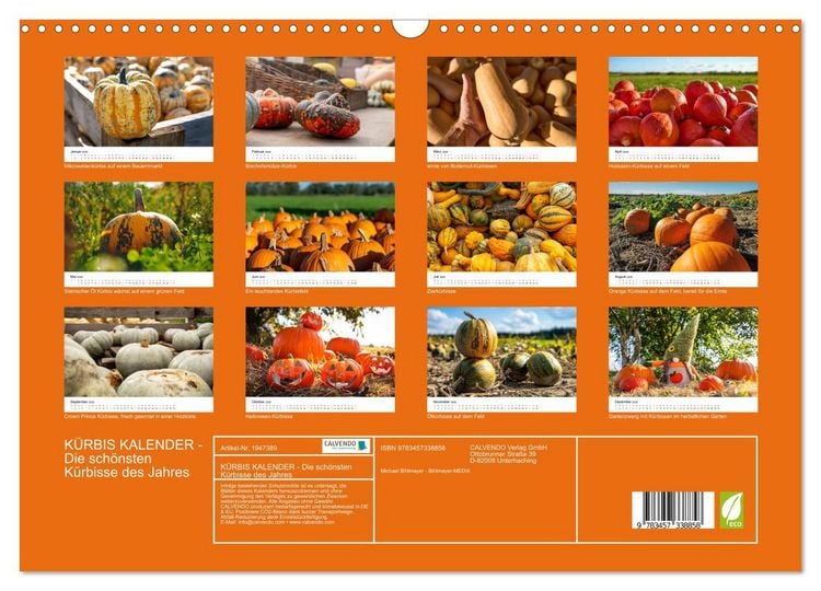 Produktbild: K&Uuml;RBIS KALENDER - Die sch&ouml;nsten K&uuml;rbisse des Jahres (Wandkalender 2026 DIN A3 quer), CALVENDO Monatskalender