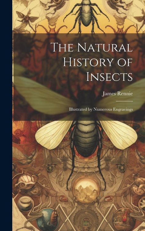 Produktbild: The Natural History of Insects: Illustrated by Numerous Engravings
