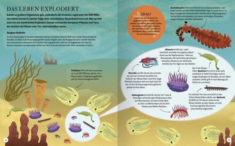 Produktbild: Die Geschichte des Lebens - Erstaunliche Evolution!