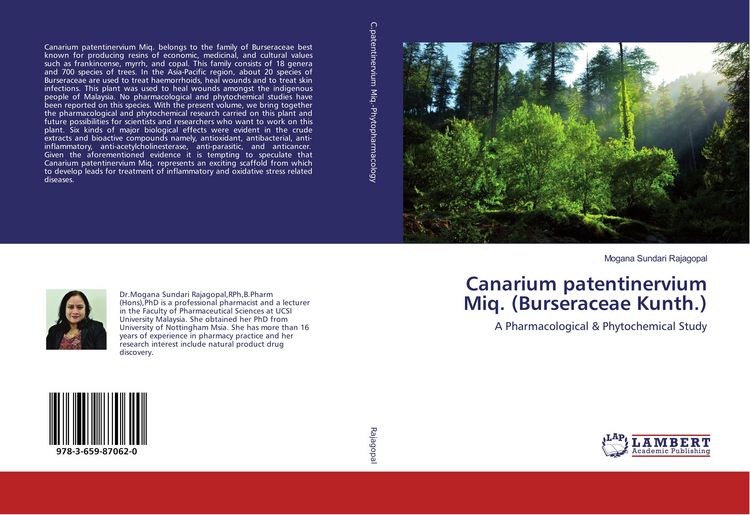 Produktbild: Canarium patentinervium Miq. (Burseraceae Kunth.)