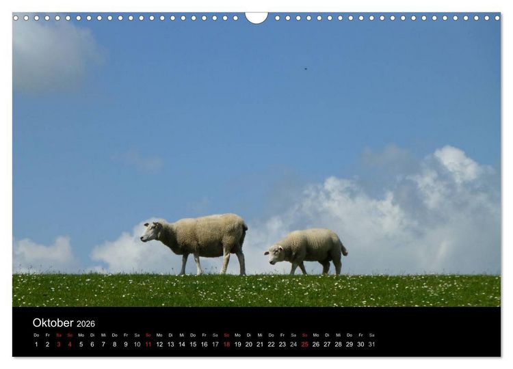 Produktbild: Wunderbare Nordsee (Wandkalender 2026 DIN A3 quer), CALVENDO Monatskalender