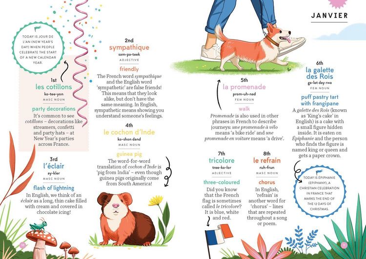 Produktbild: A French Word A Day