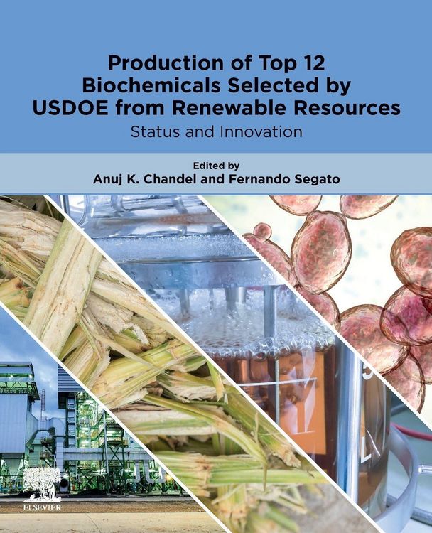 Produktbild: Production of Top 12 Biochemicals Selected by USDOE from Renewable Resources